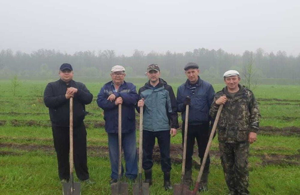 Республиканская экологическая акция "Зеленая Башкирия"